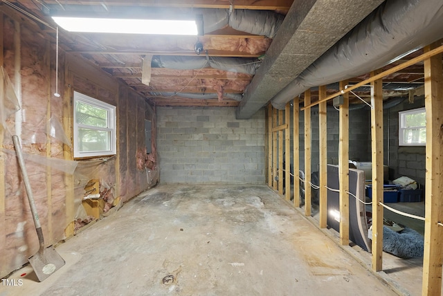 basement with electric panel