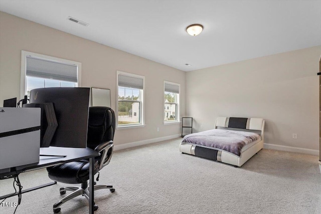 956 The Parks Dr, Pittsboro, NC 27312 - bedroom featuring light carpet, visible vents, multiple windows, and baseboards