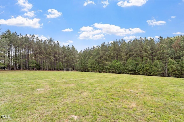 956 The Parks Dr, Pittsboro, NC 27312 - view of yard with a forest view