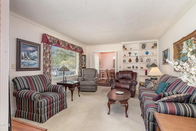 carpeted living room with crown molding and a textured ceiling