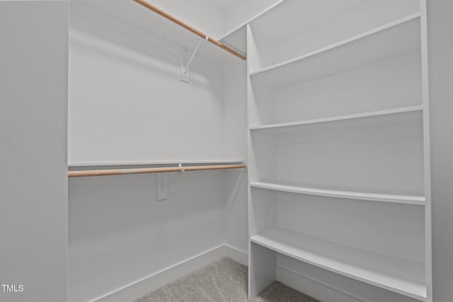 111 Halifax Rd, Louisburg, NC 27549 - spacious closet featuring carpet