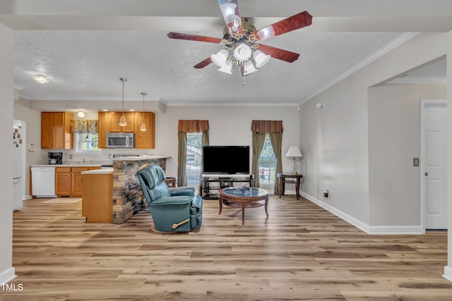 2265 Bud Lipscomb Rd, Willow Springs, NC 27592 - living room featuring light wood finished floors, a textured ceiling, ceiling fan, and crown molding