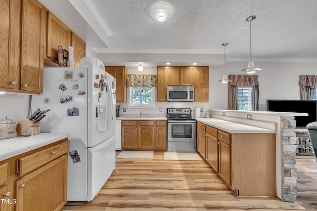 2265 Bud Lipscomb Rd, Willow Springs, NC 27592 - kitchen featuring appliances with stainless steel finishes, a peninsula, light wood-type flooring, a textured ceiling, and light countertops