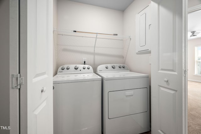 washroom with carpet floors, washing machine and clothes dryer, and laundry area
