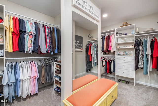 spacious closet with carpet flooring