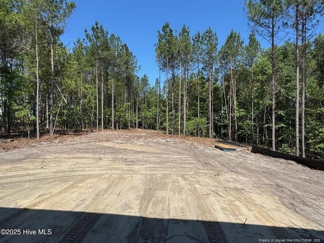 28 Horse Trot Ln, Sanford, NC 27332 - view of woods