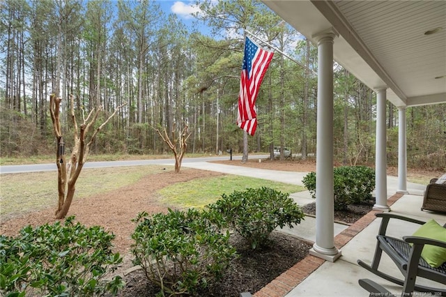 887 Thrush Dr, Vass, NC 28394 - view of yard featuring a porch
