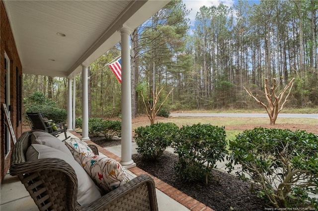 887 Thrush Dr, Vass, NC 28394 - view of patio with covered porch