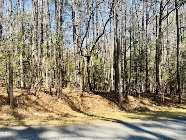 119 Osage Dr, Louisburg, NC 27549 - photo 1