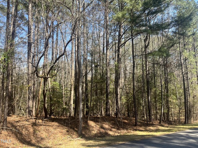 119 Osage Dr, Louisburg, NC 27549 - photo 2