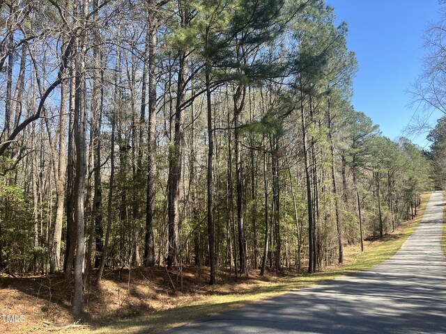 119 Osage Dr, Louisburg, NC 27549 - photo 3