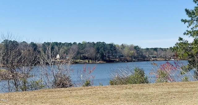 119 Osage Dr, Louisburg, NC 27549 - photo 4