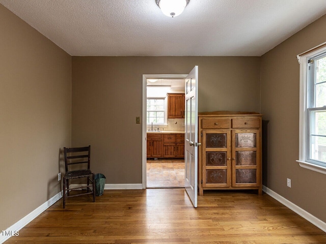 interior space with baseboards, a textured ceiling, light wood-style floors, and a healthy amount of sunlight