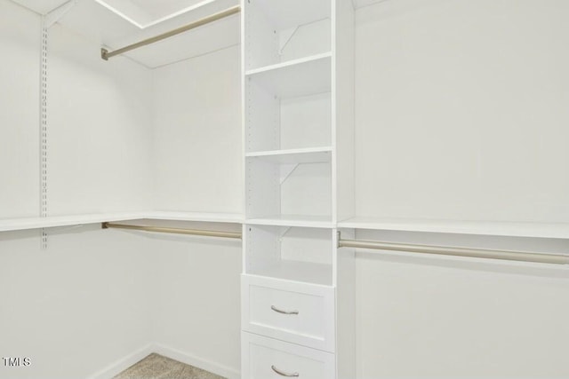 102 Cockleshell Ct, Cary, NC 27513 - view of spacious closet