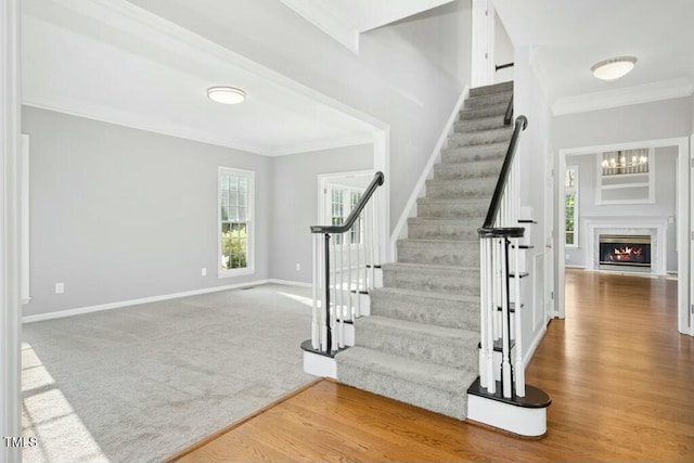 102 Cockleshell Ct, Cary, NC 27513 - stairway with a healthy amount of sunlight, wood finished floors, baseboards, and ornamental molding