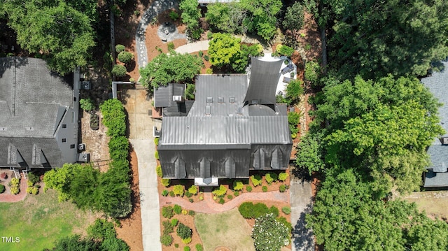 bird's eye view