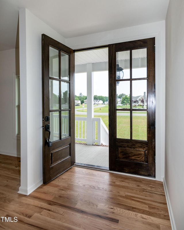 foyer entrance with wood finished floors, plenty of natural light, and baseboards