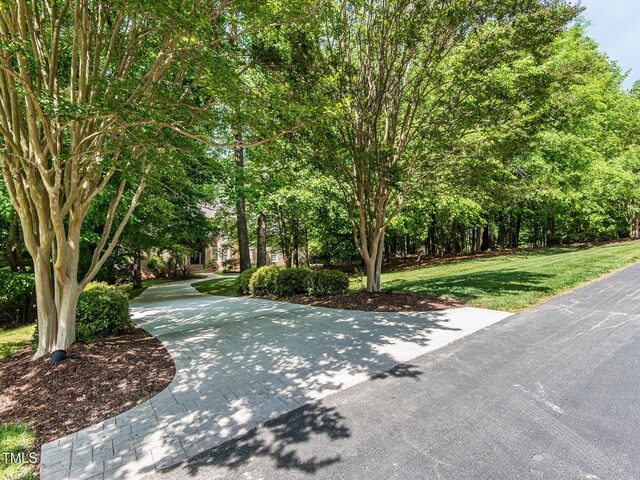 540 Vista Del Lago Ln, Wake Forest, NC 27587 - view of green lawn with view of wooded area