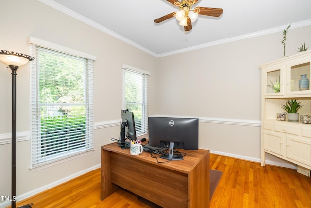 office featuring ceiling fan, light wood-type flooring, crown molding, and baseboards