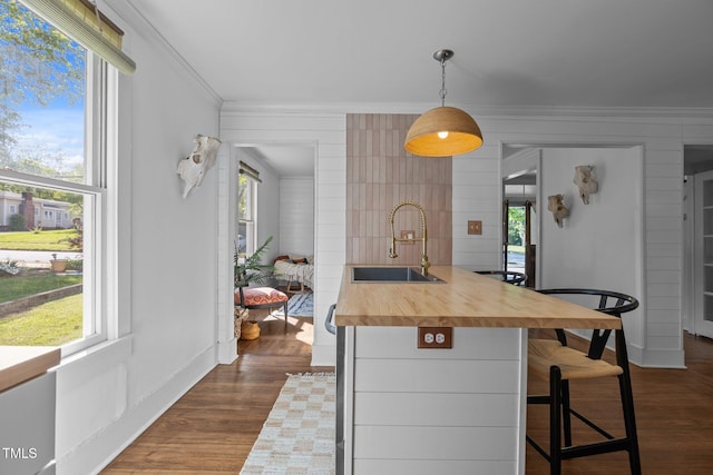 kitchen with dark wood finished floors, a kitchen breakfast bar, ornamental molding, a sink, and butcher block counters