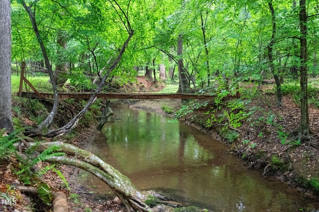 view of local wilderness