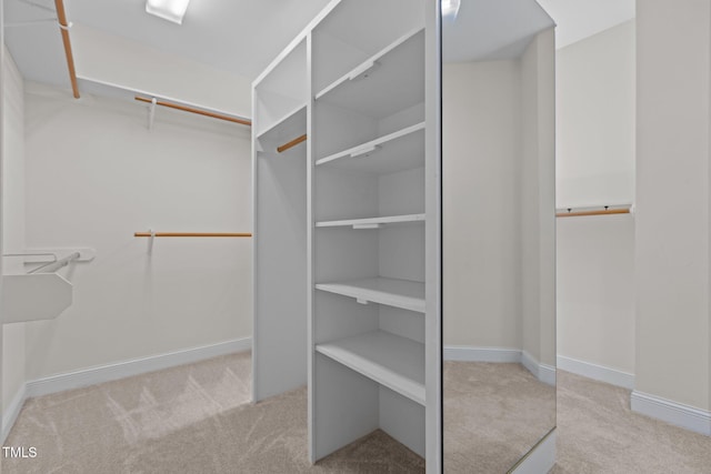 spacious closet with carpet flooring