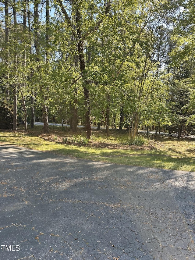 6321 Malvern Ln, Hillsborough, NC 27278 - view of yard