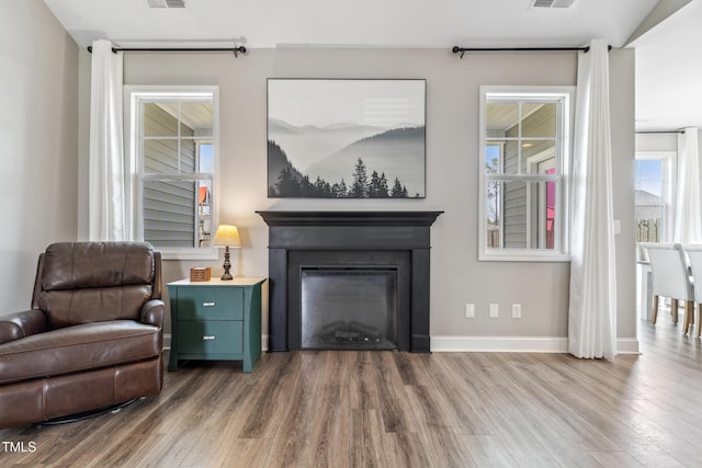 1209 Big Field Dr, Castle Hayne, NC 28429 - living area with visible vents, baseboards, a glass covered fireplace, and wood finished floors