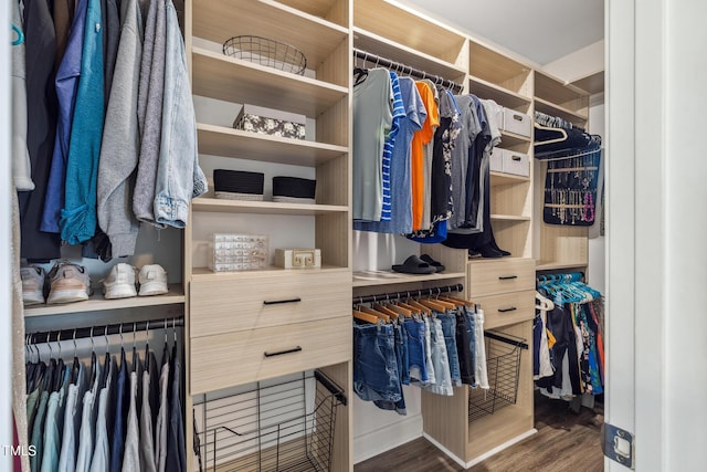 1209 Big Field Dr, Castle Hayne, NC 28429 - walk in closet with wood finished floors