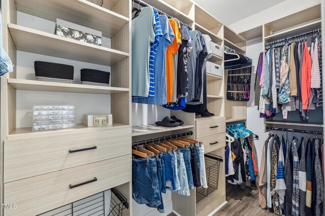1209 Big Field Dr, Castle Hayne, NC 28429 - spacious closet with wood finished floors