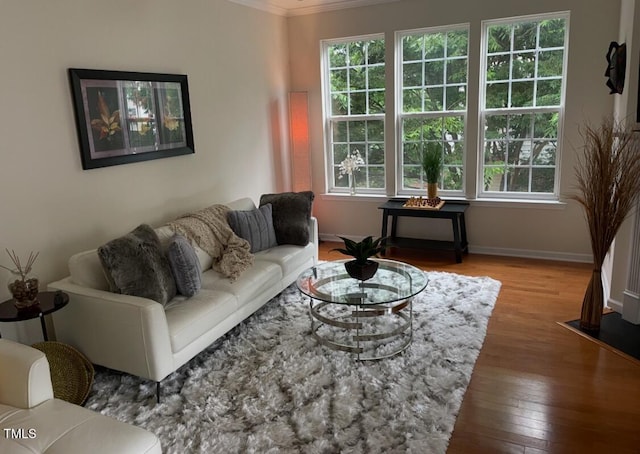 living room with wood-type flooring, ornamental molding, baseboards, and a healthy amount of sunlight