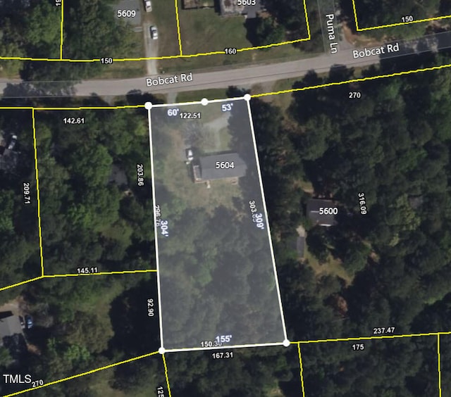 5604 Bobcat Rd, Chapel Hill, NC 27516 - aerial view of property's location