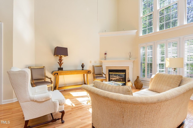 113 Beeley Ct, Cary, NC 27519 - living area featuring light wood-type flooring, a high ceiling, and a glass covered fireplace