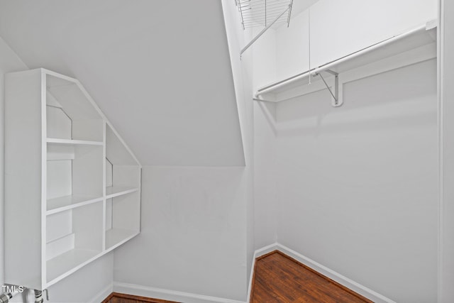 spacious closet featuring wood finished floors