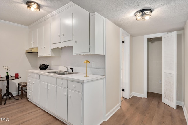 kitchen with baseboards, light wood-style floors, a textured ceiling, and a sink