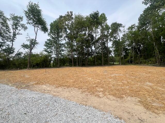 view of local wilderness