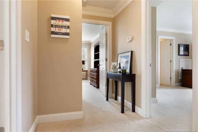 308 St Martins Pl, Fayetteville, NC 28311 - corridor with ornamental molding, baseboards, and carpet