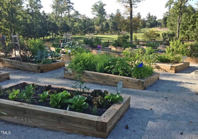 view of property's community featuring a garden and view of wooded area