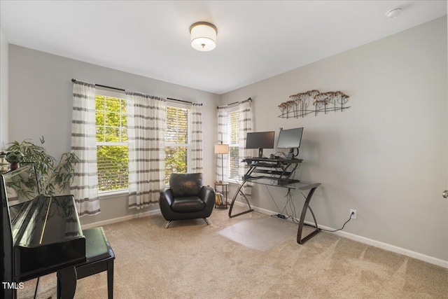 carpeted office space with baseboards