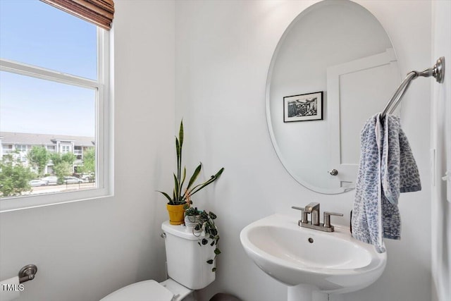 half bath featuring toilet, a healthy amount of sunlight, and a sink
