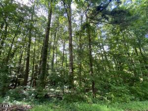 0 Phillips Dr, Sanford, NC 27330 - photo 1