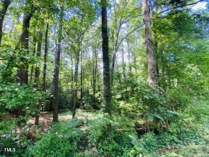 0 Phillips Dr, Sanford, NC 27330 - photo 2
