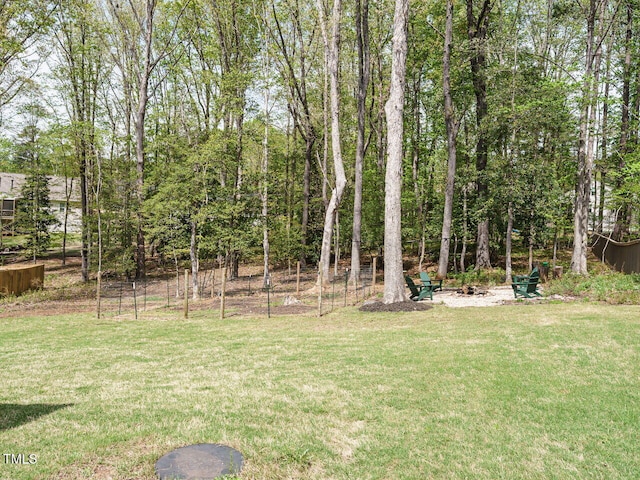 140 Clear Water Rd, Louisburg, NC 27549 - view of yard