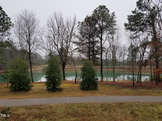 water view