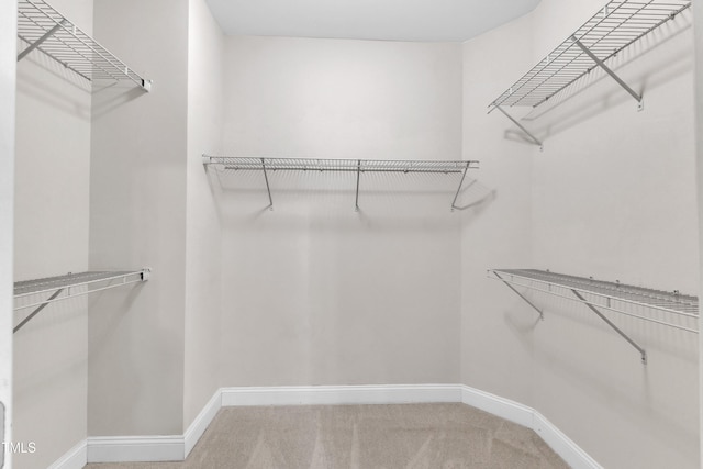 walk in closet featuring carpet flooring