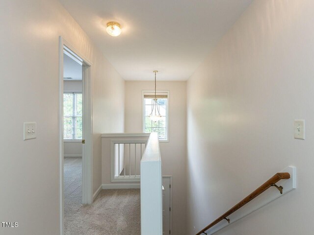 stairway featuring carpet floors and baseboards