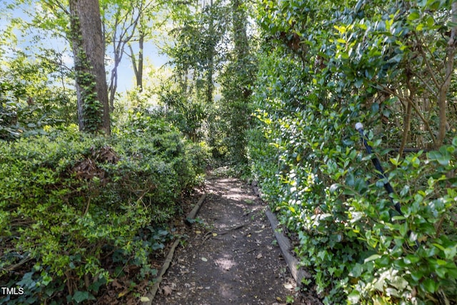 1304 Deboy St, Raleigh, NC 27606 - view of nature