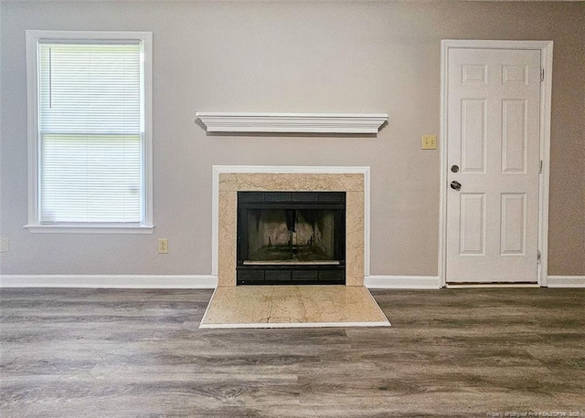 room details featuring baseboards, wood finished floors, and a fireplace