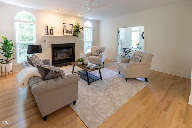 living area with plenty of natural light, a glass covered fireplace, light wood finished floors, ceiling fan, and crown molding