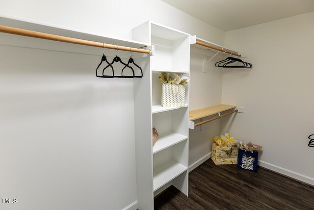 walk in closet featuring wood finished floors